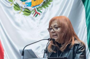Rosario Piedra comparece ante diputados y senadores