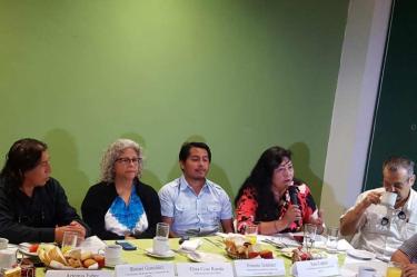 Comunidades indígenas obtienen amparo contra Tren Maya