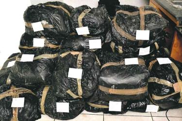 La droga fue asegurada en inmediaciones del campo pesquero del Colorado, en el municipio de Ahome, Sinaloa. Foto: FGR
