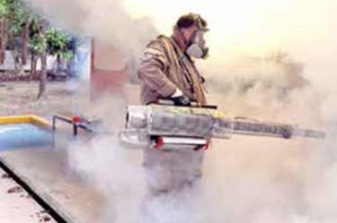 Por si no fuera poco, resurge el dengue; en el arranque de año se duplican casos