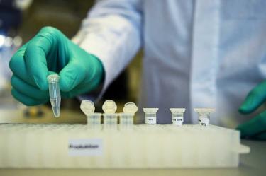 Prueba Rusia en animales una vacuna contra coronavirus