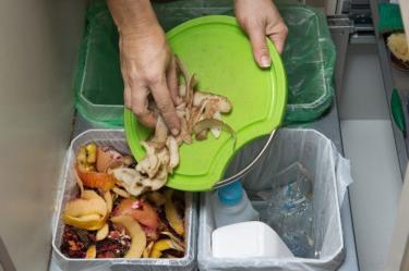 ¡No olvides desinfectar tu bote de basura! Foto: istock