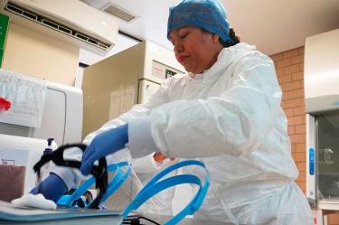 Coronavirus, Covid-19, China, Wuhan, Seguridad, Salud, México, Estados, AICM, CEPA, OMS, Gobierno de México, Andrés Manuel López Obrador, Contagio, Atención médica