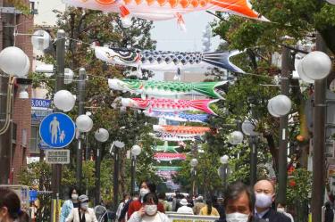 Coronavirus causó la muerte de más de 10 mil personas en Asia