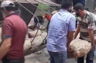 Vuelca camión de verdura y no lo saquearon, ayudaron al conductor