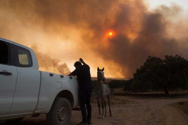 Controlan incendio en España y miles vuelven a casa
