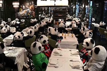 Este restaurante puso osos de peluche en todas las mesas, así no se verá tan solitario el lugar.