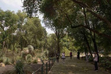 Eligen 5 proyectos finalistas para Centro de Cultura Ambiental