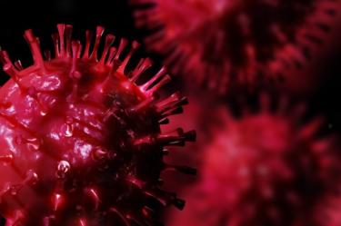 Hallan nueva cepa de coronavirus en Europa