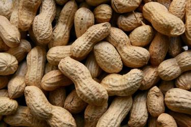 ¿Cuáles son los beneficios del cacahuate y cuánto debo comer? Foto: Pixabay
