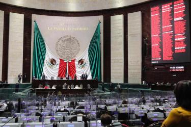 La diputada Reyna Celeste Ascencio sostiene que en Morena buscan que no haya fueros ni beneficios indebidos en favor de nadie. Foto: Especial