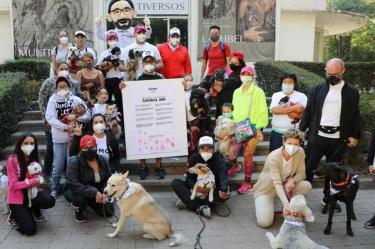 Propone Romo decálogo y agenda animalista para MH