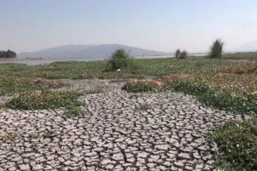 Sequía afecta laguna en Guanajuato y deja sin mojarras a pescadores