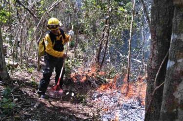 Reportan 78 incendios forestales activos en México
