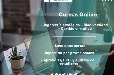 Ases lanza plataforma de cursos online; checa los detalles