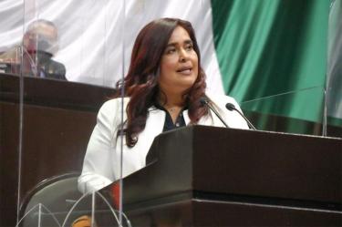 Zulma Espinoza Mata, diputada del Partido Verde Ecologista / Foto: Especial