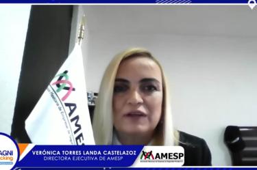 Verónica Torres Landa, insistió que en todo plan de protección lo primordial es la capacitación al personal de seguridad, al transportista y a la empresa misma. Pero además debe ir de la mano con una autoridad para generar estrategias que permitan mitigar el riesgo para que, al transitar por las calles, carreteras federales o estatales vayan mucho más seguros.