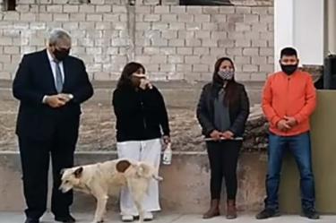 En el video el perrito orina a la funcionaria Argentina ante la mirada de otros funcionarios y personas que estaban ahí.