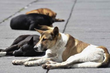 Familiares aseguran que pese a la muerte de Saúl, las autoridades de Chiconcuac no han hecho nada al respecto y el riesgo persiste. Foto: Cuartoscuro