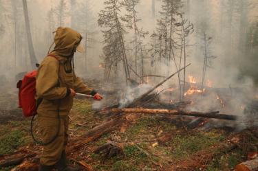 Putin expresa preocupación por desastres naturales en Rusia