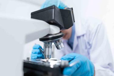 Los resultados se publicaron en la revista Nature Genetics. Foto:  PEXELS