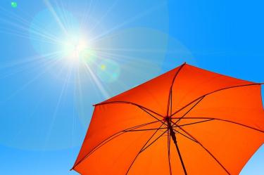 Las temperaturas en el oeste de Canadá no habían sido registradas desde 1982. Foto: Pixabay