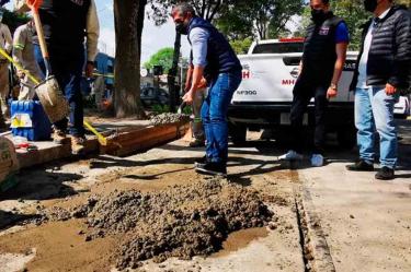 En total se plantaron mil 200 árboles y plantas de distintas especies como duranta, lantana, amaranto, agapando y hiedra plateada. Foto: Especial