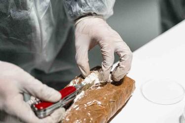  La policía detuvo a por lo menos 10 personas en una vivienda en el empobrecido barrio Tres de Febrero, a 40 kilómetros de la capital, donde presume que se mezcló y se distribuyó la cocaína adulterada. Foto : pexels