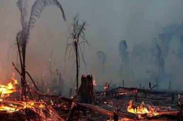 El fuego devora "el pasto, se va extendiendo y hay mucho viento". Foto reuters
