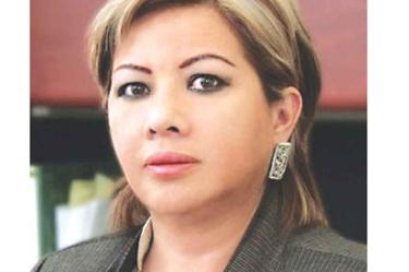  “Mi suplente empezó a recibir presiones de un lobby de legisladoras y de organizaciones para que no defendiera la iniciativa en Comisiones”, Guadalupe Almaguer, exdiputada federal del PRD.