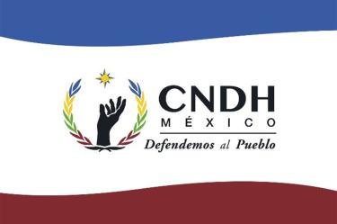 Resultado de la violación de los derechos humanos de los ciudadanos y la represión de diversos movimientos sociales por parte del Estado Mexicano. Foto: @CNDH