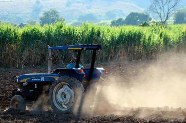 De acuerdo con las autoridades federales, el campo mexicano registró un incremento en su producción de alimentos en 2021. Foto archivo: Cuartoscuro