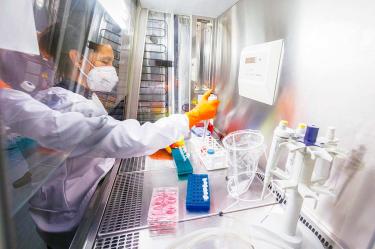 Investigadores trabajando en laboratorio