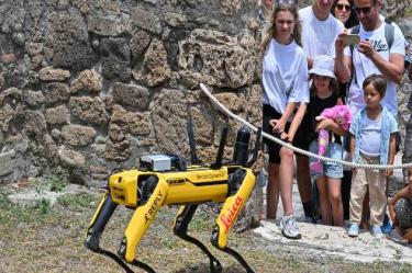 Perro robot guardian