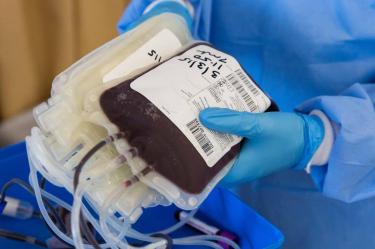 donación de sangre