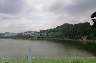 Presa Madín.