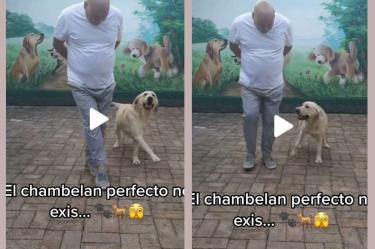 Collage de capturas de video.