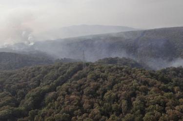Incendio forestal en Jalisco