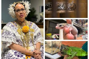 La secretaria general de la CITES, Ivonne Higuero, alertó sobre la venta de vida silvestre en Internet.