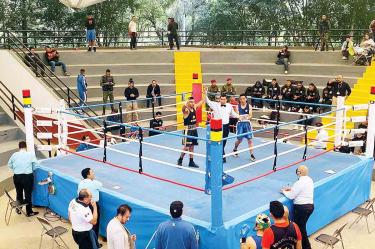 boxeo amateur