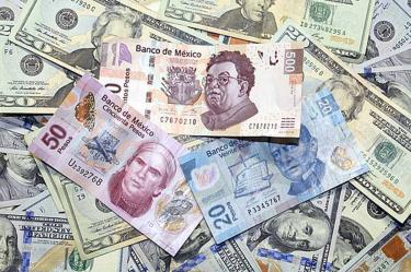Billetes de dólar y peso en distintas denominaciones.