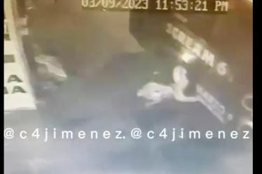 Chofer atropella a persona que se había subido a pedir limosna a su unidad.