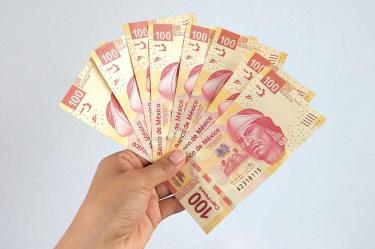 La mano de una persona sostiene ocho billetes de 100 pesos.