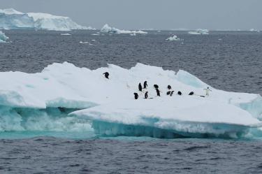 Glaciares en el Polo Sur. (Reuters)
