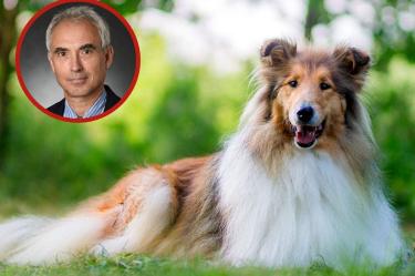 Themis Matsoukas fue acusado de abusar a su perro. (Especial)