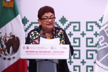Informe de seguridad en CDMX.