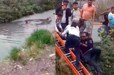 Video rescatan abuelito aguas negras morelia michoacan
