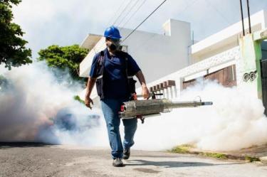 Fumigación en Veracruz