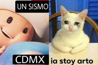 microsismos memes