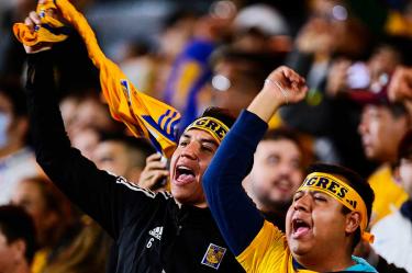 Aficionados de Tigres